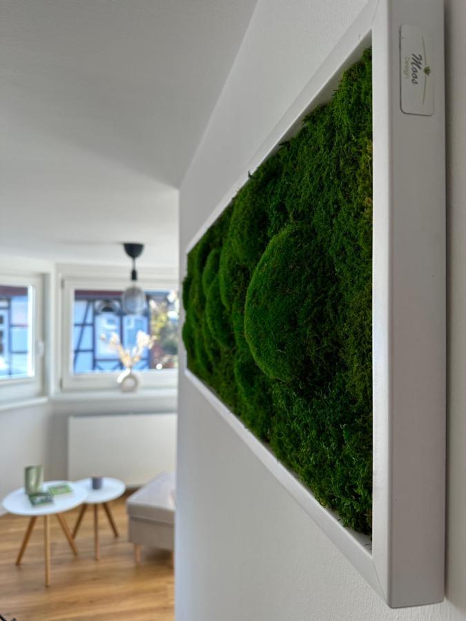 Turm.Blick Apartment Goslar Bagian luar foto