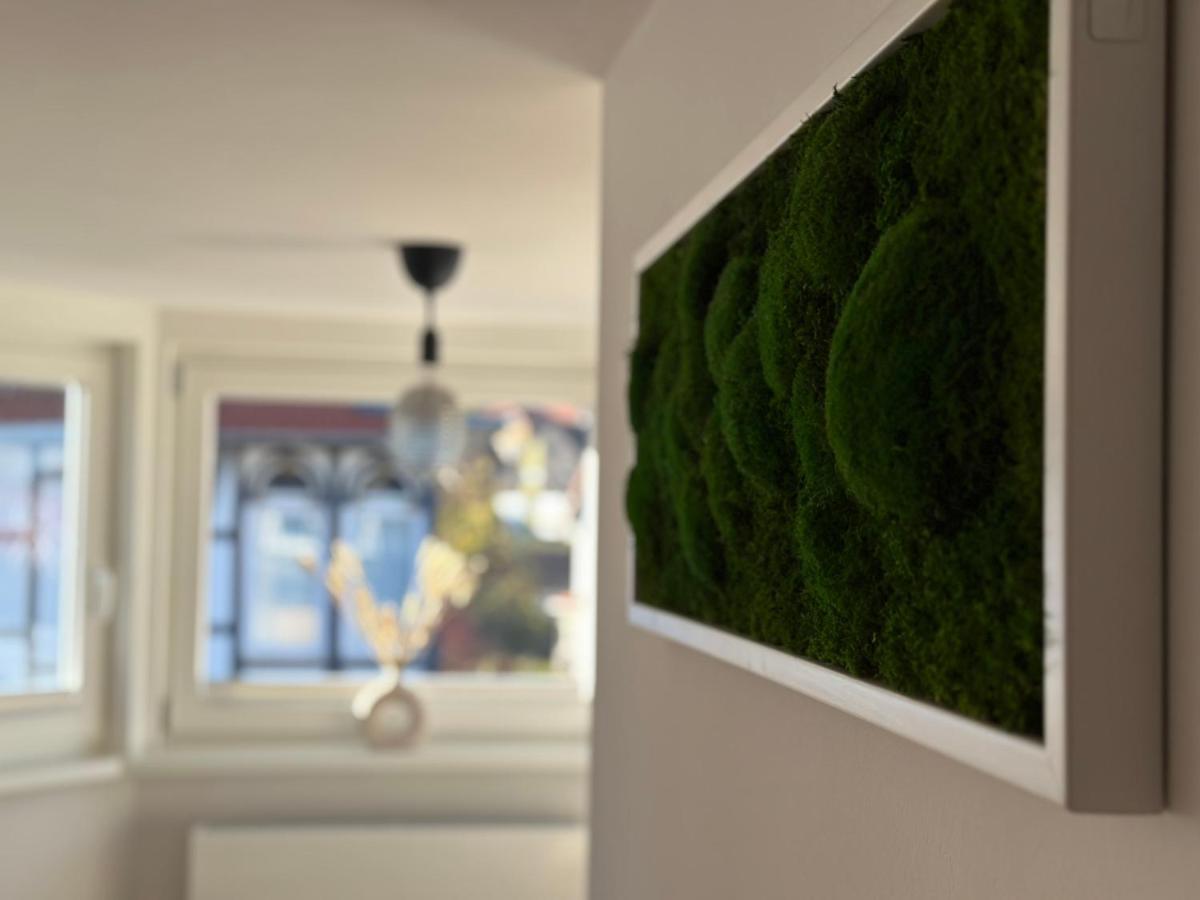 Turm.Blick Apartment Goslar Bagian luar foto